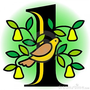 partridge-in-a-pear-tree